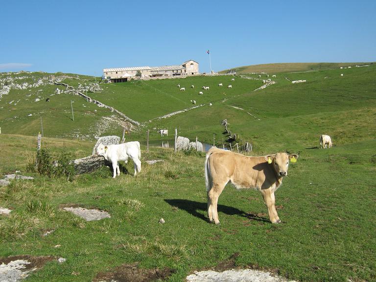 Immagine 40.jpg